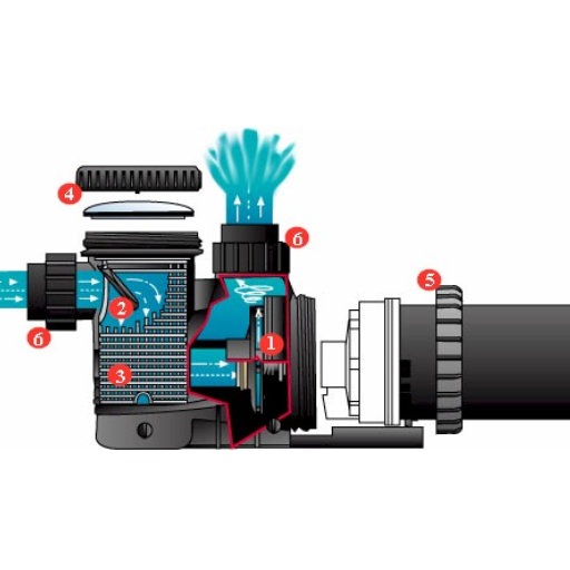 water pump bearing noise