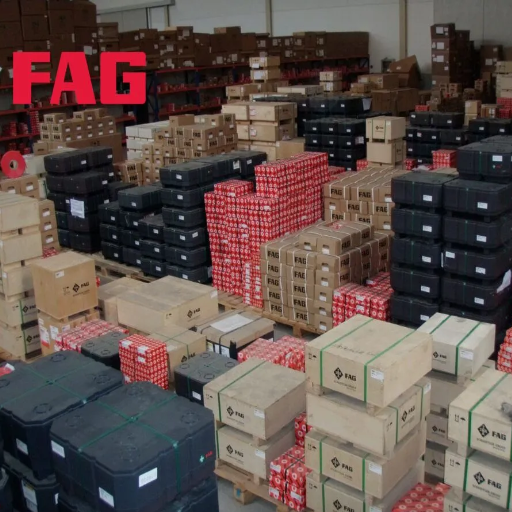 FAG Bearings