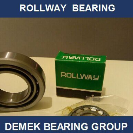 Rollway Bearings