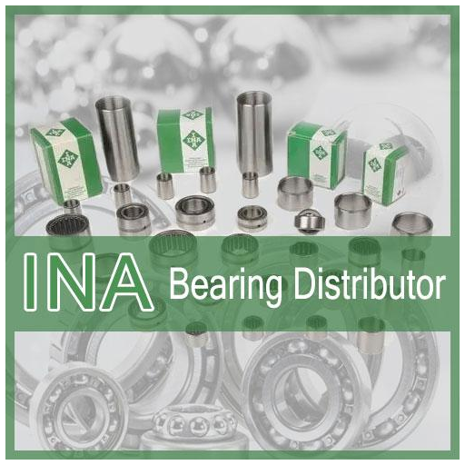 INA Bearings