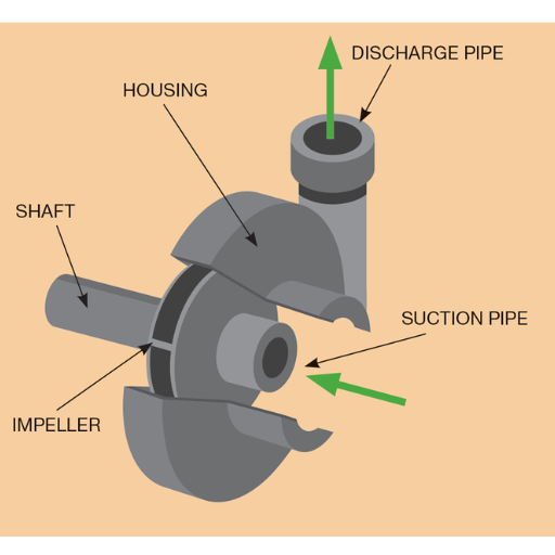 bearing pump