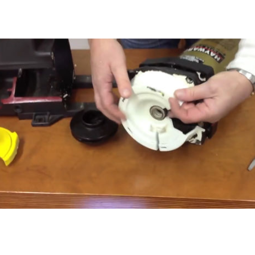 pool pump bearing