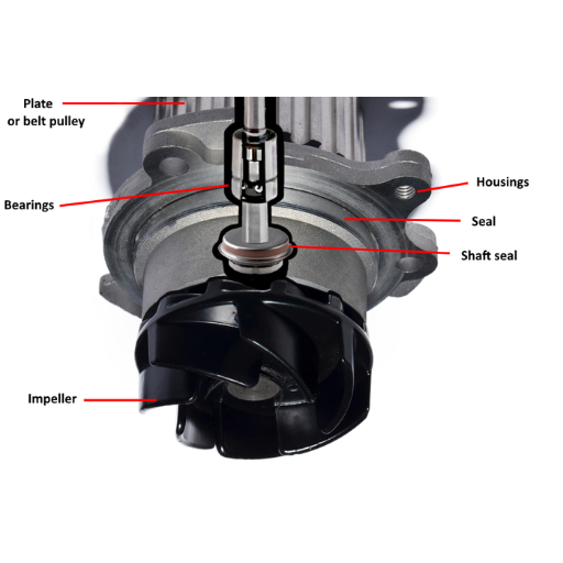 water pump bearing replacement cost