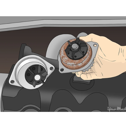 water pump bearing replacement cost