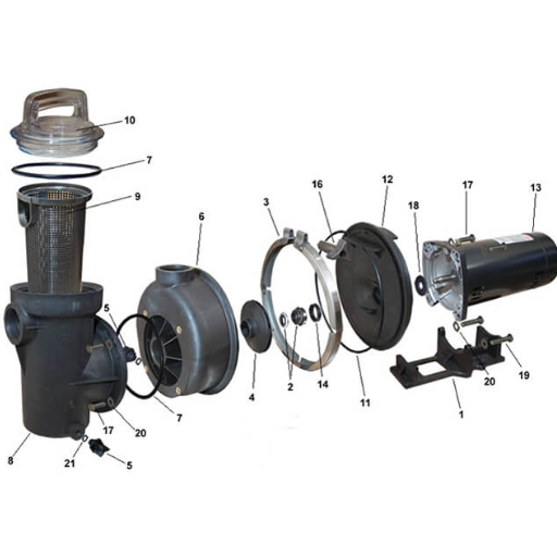 pump motor bearing