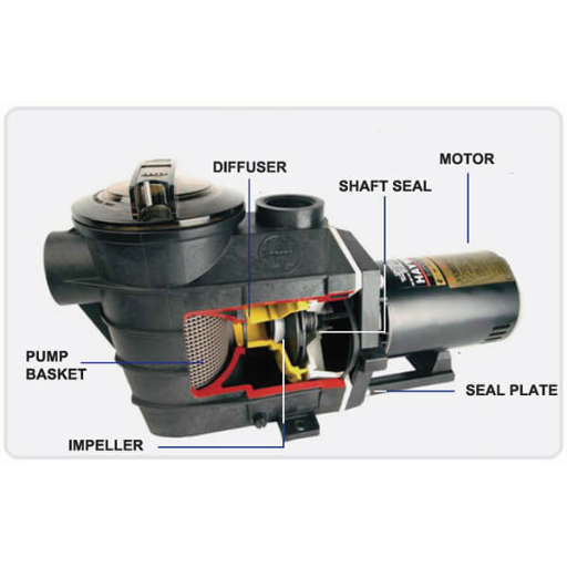 pentair pool pump bearing replacement