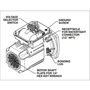 How to Replace Bearings in Your Pentair WhisperFlo Pool Pump Motor