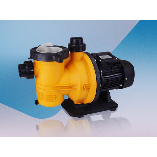 pentair pool pump bearing replacement