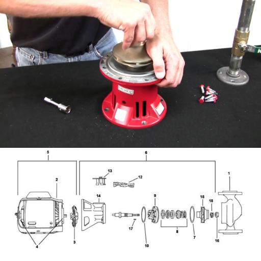 How Do You Replace a B&G Pump Bearing Assembly