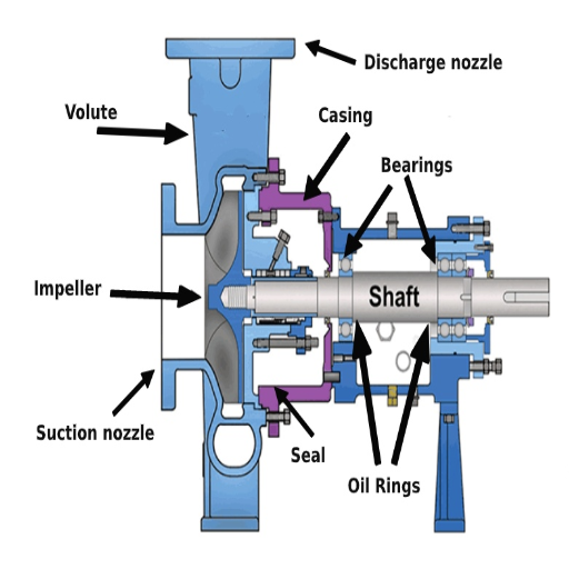 How Does the Bearing Assembly Function in a Pump