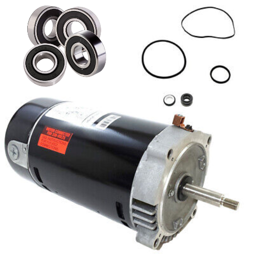 hayward pool pump bearing noise