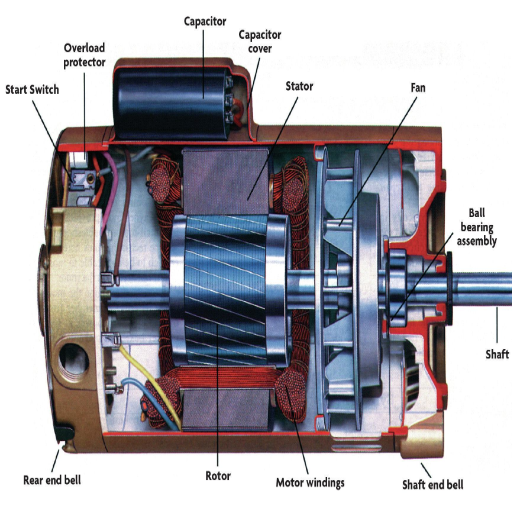 What's the process for installing a new water pump bearing?