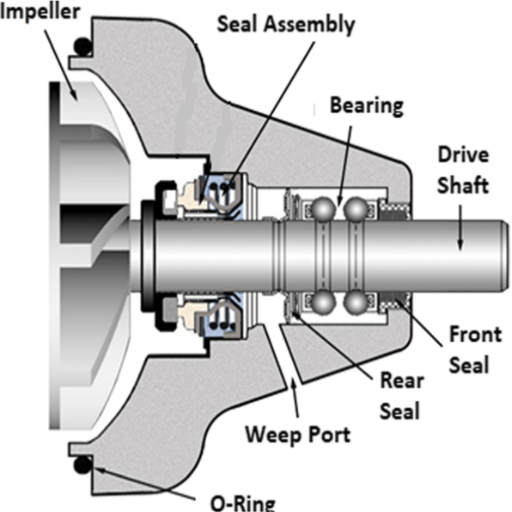 automotive water pump bearing